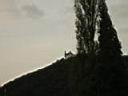 Church of St Joseph from afar.jpg